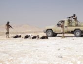 القوات المسلحة تنفذ عددا من الأنشطة التدريبية على الاتجاه الاستراتيجى الجنوبى