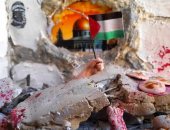 رانا صممت مصغرات توضح معاناة الفلسطينيين خلال حرب إسرائيل على غزة