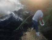 جهاز شئون البيئة بالشرقية يحرير 538 محضر حرق قش أرز للمزارعين المخالفين