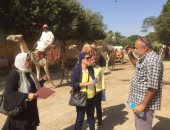 لجنة تفقدية للمرور على المرابط والاسطبلات بالمنطقة الأثرية فى الهرم