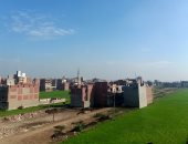 طقس مشمس فى الشرقية ودرجات الحرارة العظمى 34 درجة.. صور    