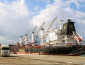 ميناء دمياط يستقبل سفينة محملة بـ 63000 طن قمح