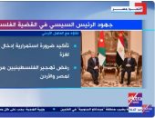 "إكسترا نيوز" تعرض تقريرا حول جهود الرئيس السيسي في القضية الفلسطينية