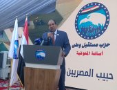 ممثل الأغلبية بـ"الشيوخ": ندعم المرشح الرئاسى عبدالفتاح السيسى لحفاظه على الوطن