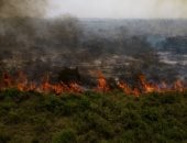 حرائق الغابات تتحدى الشتاء.. النيران تلتهم أشجار البرازيل النادرة