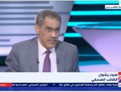ضياء رشوان: القيادة المصرية أدركت تحدى التهجير القسرى للفلسطينيين منذ البداية