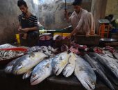 تجفيف الأسماك فى باكستان مهنة توارثتها الأجيال