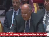 سامح شكرى: لا نرى بديلا عن معالجة جذور الصراع الفلسطينى الإسرائيلى