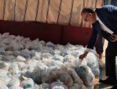 طرح 27 ألف كرتونة مواد غذائية مدعمة واستمرار الحملات التفتيشية بالمنيا