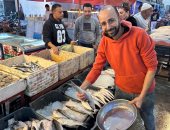 انتشار أنواع عديدة من الأسماك والبحريات فى سوق أسماك بورسعيد.. فيديو