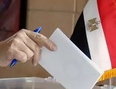 انتخابات الرئاسة 2024 .. لجنتا برن وجنيف تستعدان لاستقبال المصريين للتصويت