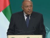 وزير الخارجية يدلى بصوته بالانتخابات الرئاسية بالتجمع الخامس.. فيديو