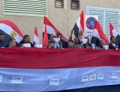 نواب: المصريون بالخارج ضربوا المثل والقدوة فى دعم الدولة المصرية