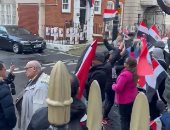 الجالية المصرية بلندن تحتشد للتصويت على أنغام الأغاني الوطنية