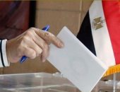 انتخابات الرئاسة 2024.. توافد الناخبين على لجان الجيزة باليوم الثانى