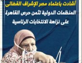 منظمات دولية تثمن حرص مصر على نزاهة الانتخابات باعتماد الإشراف القضائى.. فيديو