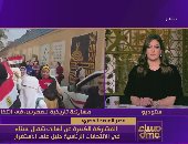 المرصد المصرى: نسبة المشاركة بانتخابات الرئاسة ستزيد على 65% وفق المؤشرات