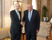 وزيرا خارجية مصر والأردن يناقشان مساعى الوصول لوقف إطلاق نار فى غزة
