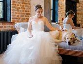 عروس ترفض التخلى عن كلبها فى حفل زفافها.. بينقذ حياتها طول الوقت 
