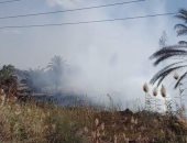 السيطرة على حريق شب فى هيش فى قرية المنايف بالإسماعيلية دون خسائر بشرية