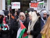 مظاهرات فى فيينا تطالب بوقف العدوان الإسرائيلى على قطاع غزة