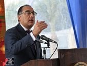 قرار جديد من مجلس الوزراء بشأن تيسيرات السيارات للمصريين المُقيمين بالخارج
