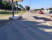 طقس الإسماعيلية.. رياح نشطة ومائل للبرودة ليلا والصغرى 11 درجة "صور"