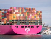 ميناء دمياط يستقبل 31250 طن قمح لصالح القطاع الخاص