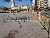 طيور مبهجة وألعاب للأطفال وأسرهم فى ساحة أبو الحجاج الأقصرى.. لايف