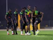 موعد مباراة منتخب مالى ضد بوركينا فاسو فى دور الـ16 من كأس أمم أفريقيا