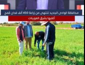 محافظة الوادى الجديد تنتهى من زراعة 450 ألف فدان قمح أغلبها بشرق العوينات