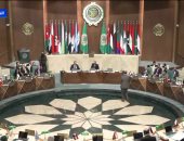 الجامعة العربية: نعمل بكل ما نستطيع من أجل نُصرة القضية الفلسطينية