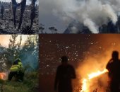 الحرائق فى كولومبيا تقضى على ما يعادل 25 ألف ملعب كرة وتهدد 900 بلدية.. فيديو