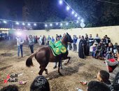 الرقص بالخيول.. أهالى الأقصر  يحتفلون بالمولد السنوى للشيخ أبو الغطاس