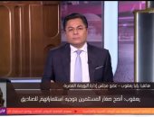 رانيا يعقوب: هناك فرصة أمام البورصة المصرية لاستكمال عمليات صعودها