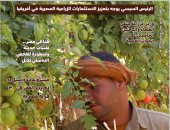 وزارة الزراعة تنتج بذور وتقاوي الخضر لزراعة 5 هجن جديدة من الطماطم السلكية