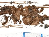 اكتشاف عظام بشرية لمراهق يعود عمرها لـ2500 عام فى أيرلندا بدون جمجمة