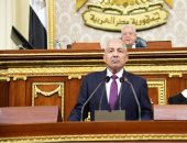 رئيس "دفاع النواب" الرئيس السيسى لن يتهاون فى حماية أمن مصر القومى 
