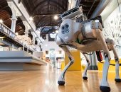 روبوت كلب يعمل بالذكاء الاصطناعى ويقود المكفوفين عبر المتاحف ومراكز التسوق