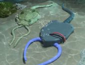 علماء يطورون روبوتات مرنة تستوحي حركتها من المخلوقات البحرية القديمة