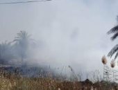 السيطرة على حريق فى هيش بقرية النصر بالإسماعيلية دون خسائر بشرية