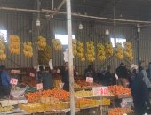 شاهد كل أنواع الخضراوات والفاكهة بسعر الجملة فى معرض محافظة الشرقية.. فيديو