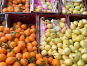 كله طازج وبأرخص أسعار.. جولة بمعرض الخضراوات والفاكهة في الشرقية.. فيديو