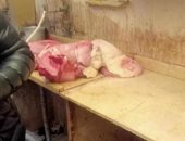 ضبط محل يبيع اللحوم بدون بيانات فى مدينة بورفؤاد ببورسعيد