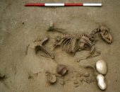 اكتشاف رفات 161 شخصًا مع بقايا حيوانات فى مقبرة عمرها 2000 عام بإيطاليا