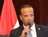 نائب رئيس العربى الناصرى: مرافعة مصر أمام محكمة العدل دعم جديد للقضية الفلسطينية