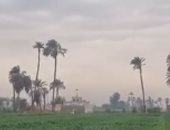 طقس سوهاج اليوم.. أجواء غائمة وشبورة وتوقعات بهطول أمطار "فيديو"