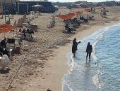 أجواء حارة بالإسكندرية.. والأهالى يستمتعون بالبحر على الشواطئ.. فيديو