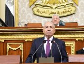 رئيس "دفاع النواب": عطاء مصر للقضية الفلسطينية لم يتوقف رغم أنف الاحتلال