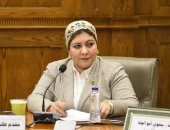 عضو تضامن النواب: "قادرون باختلاف" يعيشون عصرهم الذهبى بعهد الرئيس السيسي